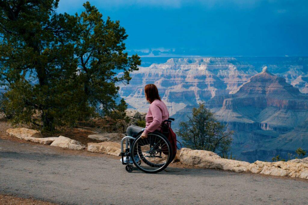 Person in a wheelchair at the grand canyon